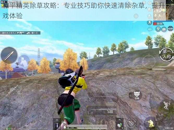 和平精英除草攻略:专业技巧助你快速清除杂草,提升游戏体验