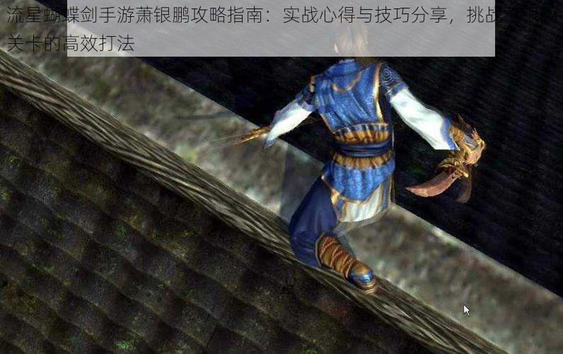 流星蝴蝶剑手游萧银鹏攻略指南:实战心得与技巧分享,挑战萧银鹏关卡的高效打法