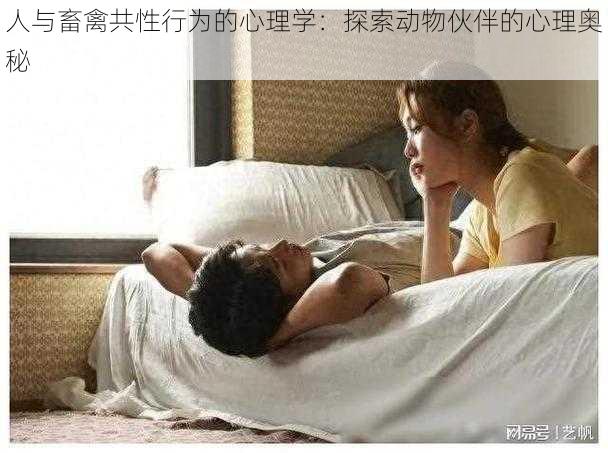 人与畜禽共性行为的心理学:探索动物伙伴的心理奥秘