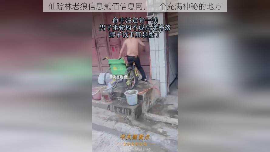 仙踪林老狼信息贰佰信息网,一个充满神秘的地方