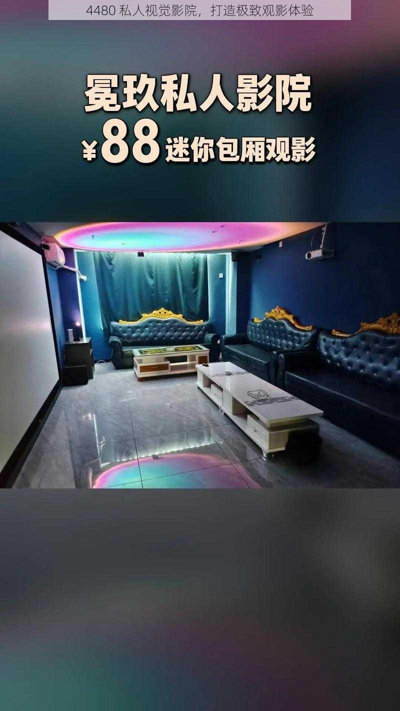 4480 私人视觉影院,打造极致观影体验