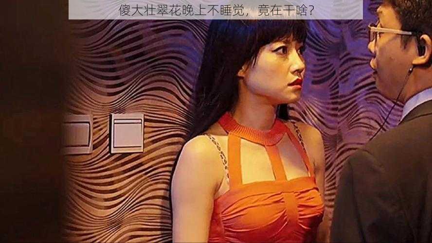 傻大壮翠花晚上不睡觉,竟在干啥?