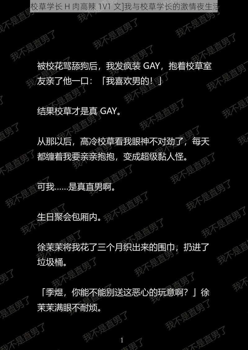[校草学长 H 肉高辣 1V1 文]我与校草学长的激情夜生活