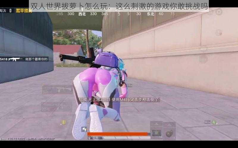 双人世界拔萝卜怎么玩:这么刺激的游戏你敢挑战吗