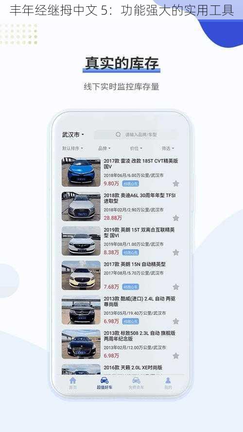 丰年经继拇中文 5:功能强大的实用工具