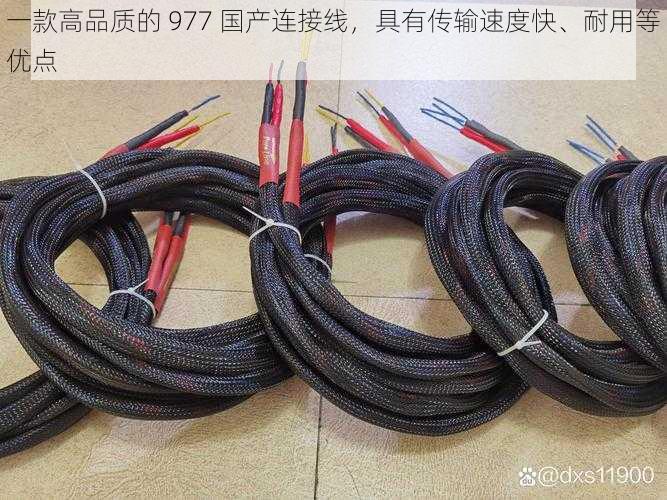 一款高品质的 977 国产连接线,具有传输速度快、耐用等优点