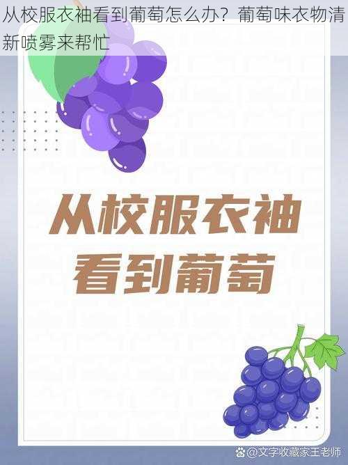 从校服衣袖看到葡萄怎么办?葡萄味衣物清新喷雾来帮忙