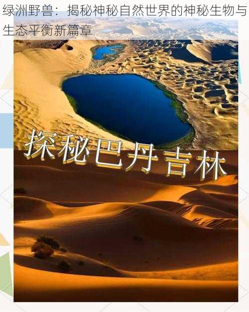 绿洲野兽:揭秘神秘自然世界的神秘生物与生态平衡新篇章