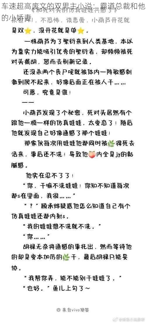车速超高废文的双男主小说:霸道总裁和他的小娇妻
