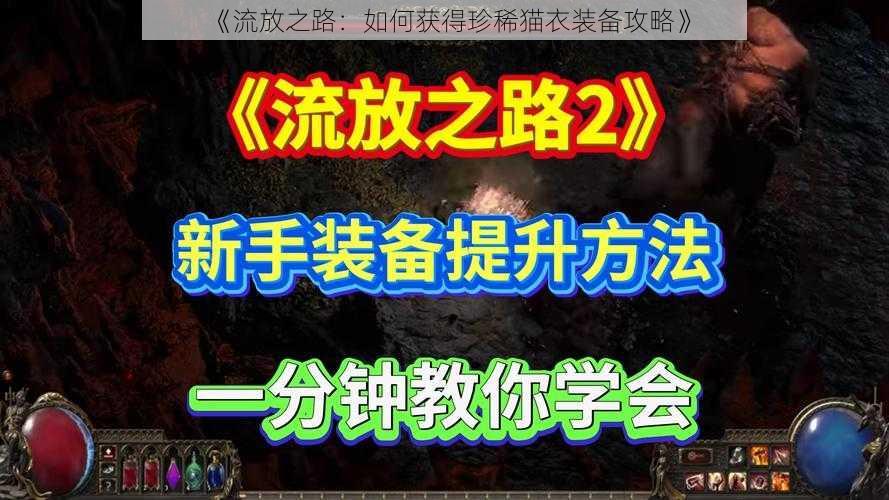 《流放之路:如何获得珍稀猫衣装备攻略》