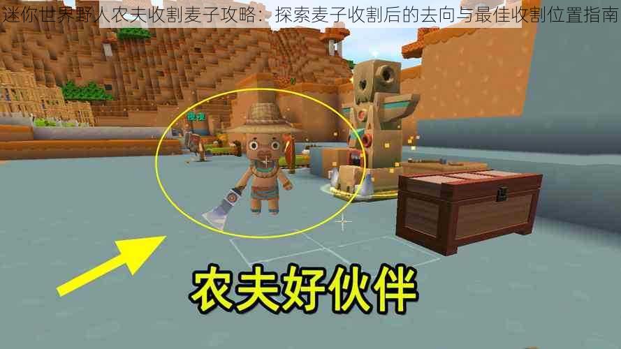 迷你世界野人农夫收割麦子攻略:探索麦子收割后的去向与最佳收割位置指南
