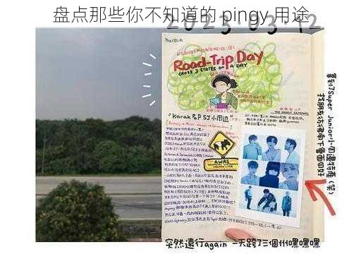 盘点那些你不知道的 pingy 用途