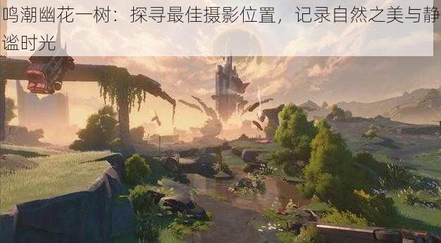 鸣潮幽花一树:探寻最佳摄影位置,记录自然之美与静谧时光