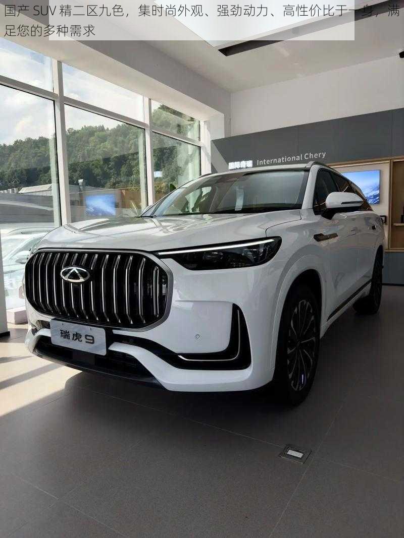 国产 SUV 精二区九色,集时尚外观、强劲动力、高性价比于一身,满足您的多种需求