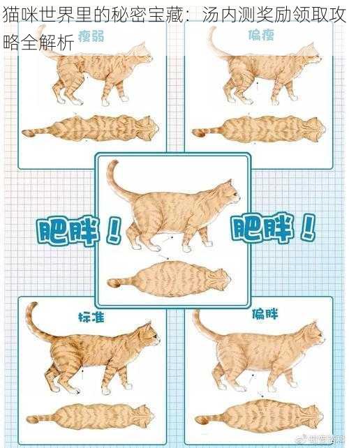 猫咪世界里的秘密宝藏:汤内测奖励领取攻略全解析