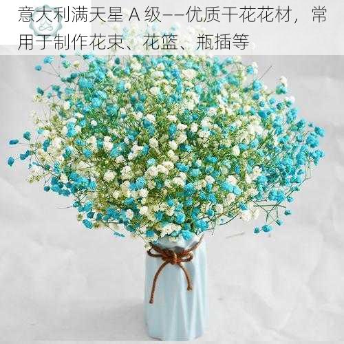 意大利满天星 A 级——优质干花花材,常用于制作花束、花篮、瓶插等