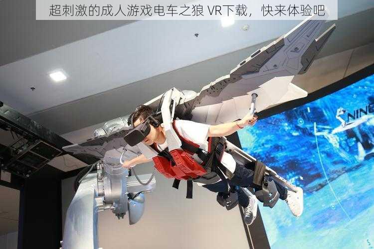 超刺激的成人游戏电车之狼 VR下载,快来体验吧
