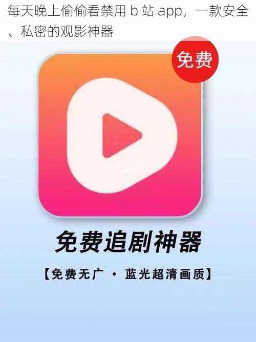 每天晚上偷偷看禁用 b 站 app,一款安全、私密的观影神器