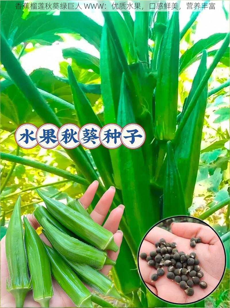 香蕉榴莲秋葵绿巨人 WWW:优质水果,口感鲜美,营养丰富