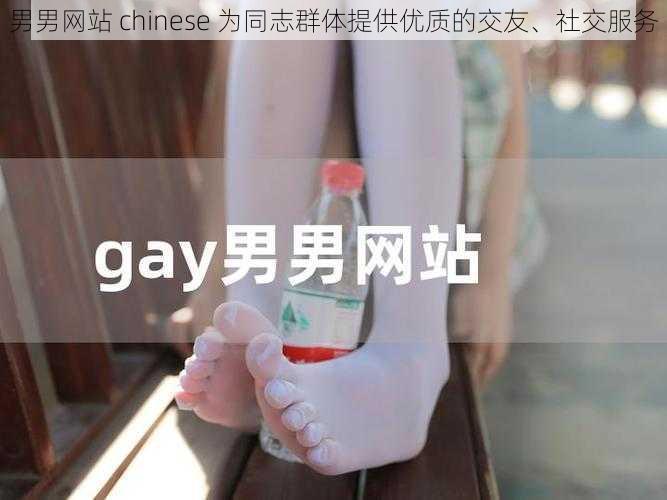 男男网站 chinese 为同志群体提供优质的交友、社交服务