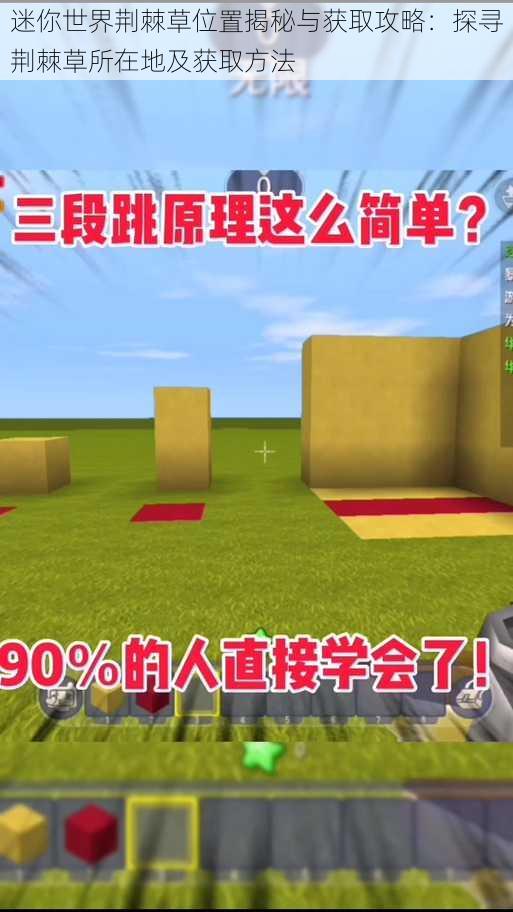迷你世界荆棘草位置揭秘与获取攻略:探寻荆棘草所在地及获取方法