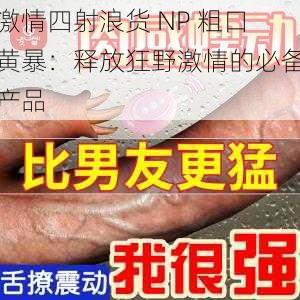 激情四射浪货 NP 粗口黄暴:释放狂野激情的必备产品