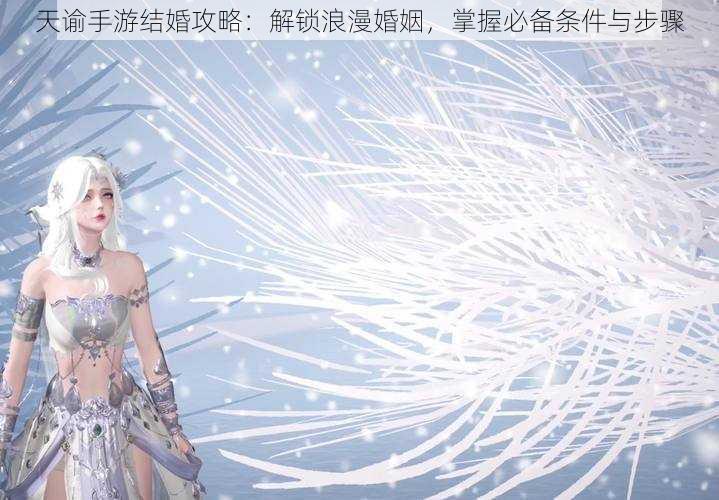 天谕手游结婚攻略:解锁浪漫婚姻,掌握必备条件与步骤