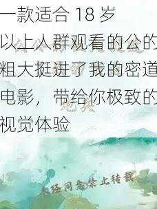 一款适合 18 岁以上人群观看的公的粗大挺进了我的密道电影,带给你极致的视觉体验