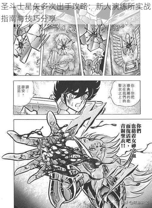 圣斗士星矢多次出手攻略:新人演练所实战指南与技巧分享