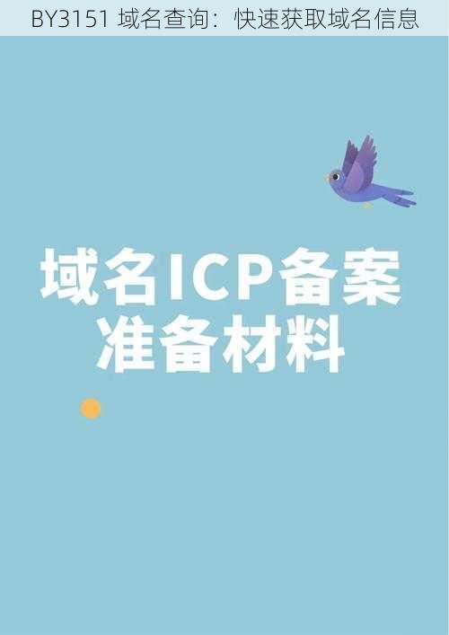 BY3151 域名查询:快速获取域名信息