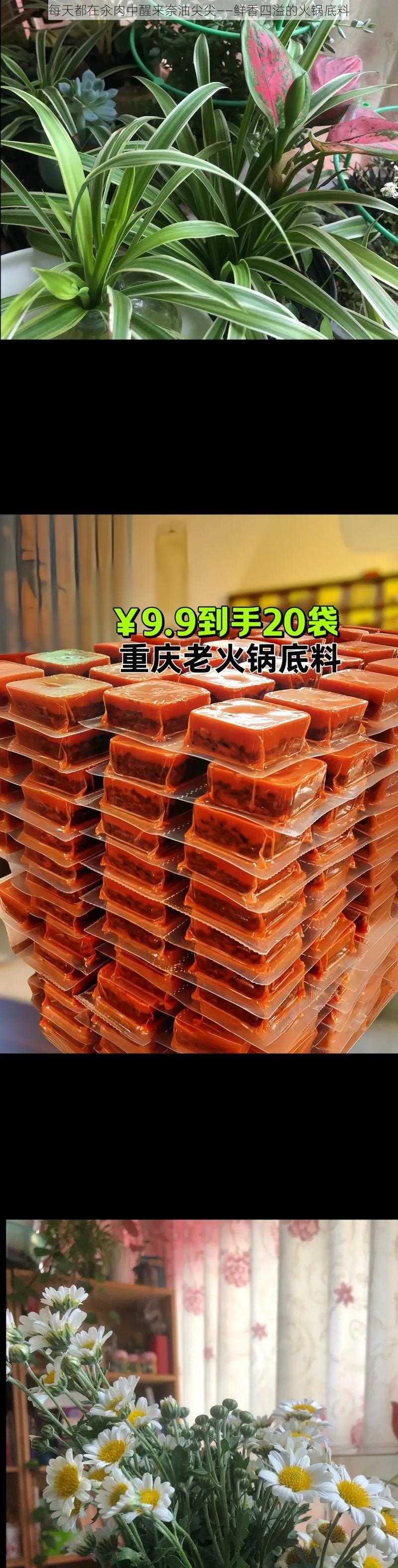 每天都在汆肉中醒来奈油尖尖——鲜香四溢的火锅底料