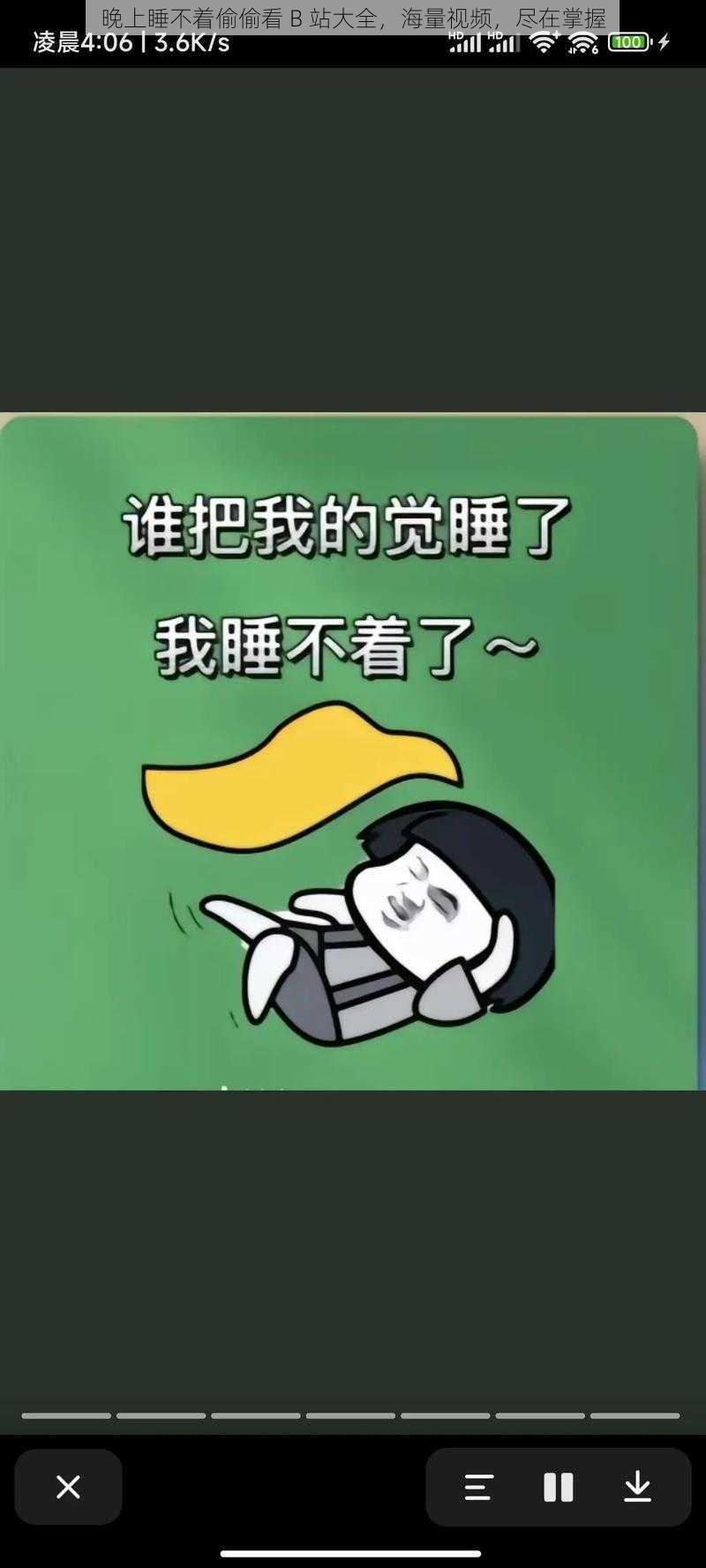 晚上睡不着偷偷看 B 站大全,海量视频,尽在掌握