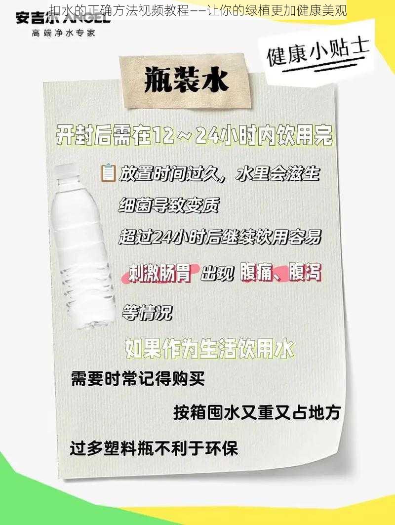 扣水的正确方法视频教程——让你的绿植更加健康美观