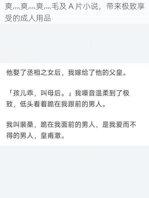 爽灬爽灬爽灬毛及 A 片小说,带来极致享受的成人用品
