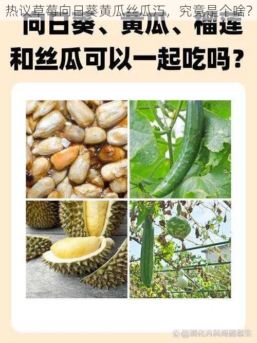 热议草莓向日葵黄瓜丝瓜汅,究竟是个啥?