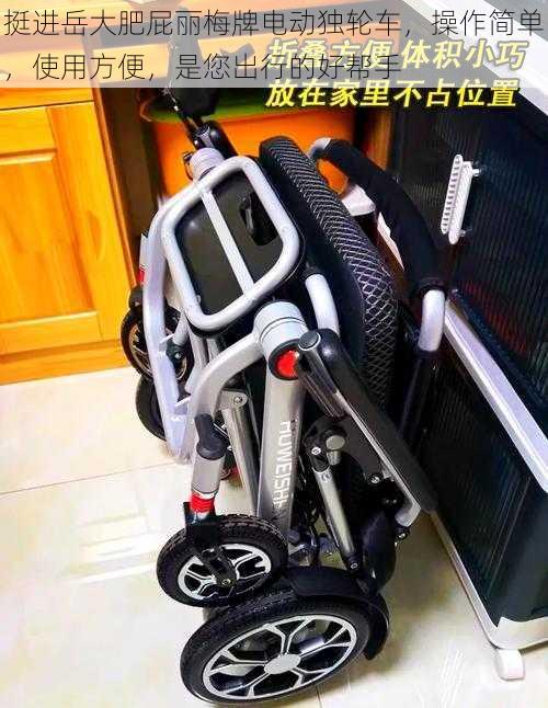 挺进岳大肥屁丽梅牌电动独轮车,操作简单,使用方便,是您出行的好帮手