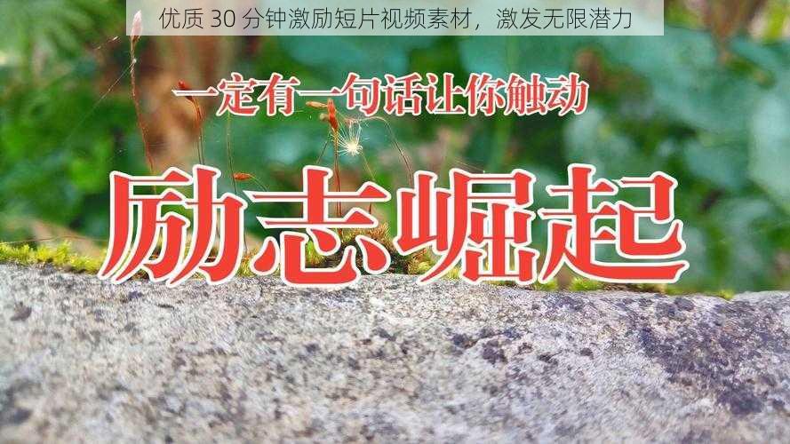 优质 30 分钟激励短片视频素材,激发无限潜力