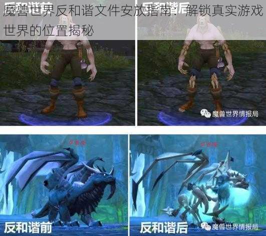 魔兽世界反和谐文件安放指南:解锁真实游戏世界的位置揭秘