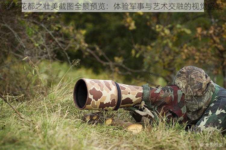 迷彩花都之壮美截图全景预览:体验军事与艺术交融的视觉盛宴
