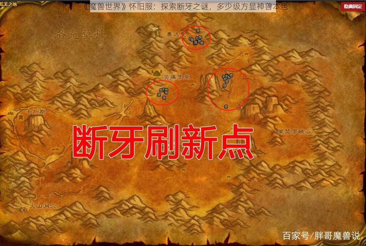 《魔兽世界》怀旧服:探索断牙之谜,多少级方显神兽本色