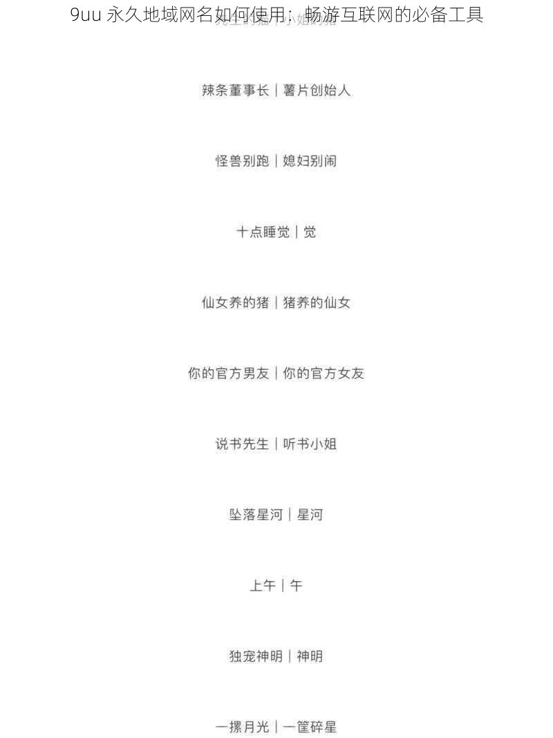 9uu 永久地域网名如何使用:畅游互联网的必备工具