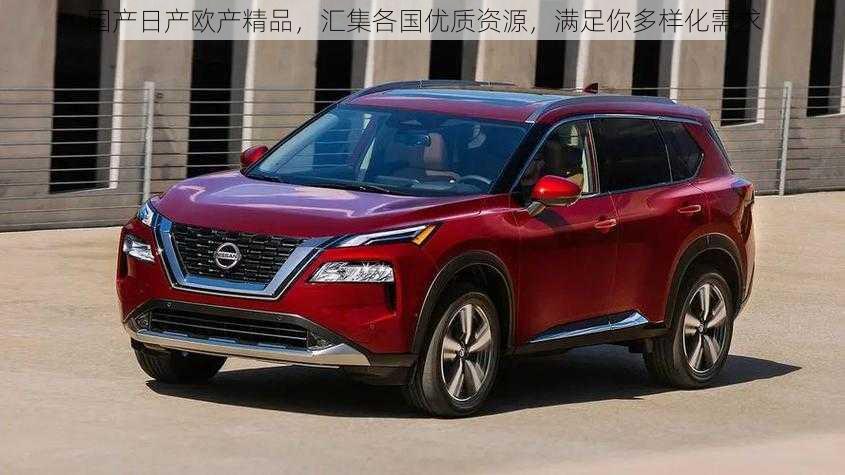 国产日产欧产精品,汇集各国优质资源,满足你多样化需求
