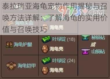 泰拉瑞亚海龟宠物作用揭秘与召唤方法详解:了解海龟的实用价值与召唤技巧