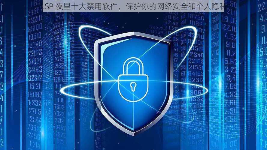 LSP 夜里十大禁用软件,保护你的网络安全和个人隐私