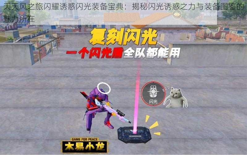 天天风之旅闪耀诱惑闪光装备宝典:揭秘闪光诱惑之力与装备图鉴的魅力所在
