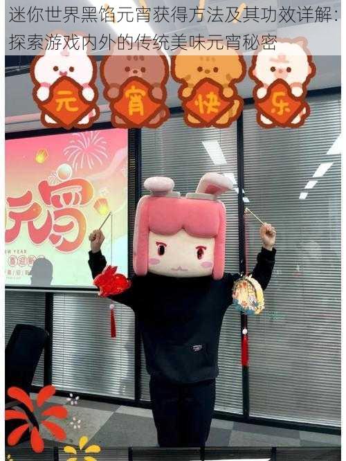 迷你世界黑馅元宵获得方法及其功效详解:探索游戏内外的传统美味元宵秘密