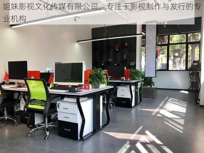 姐妹影视文化传媒有限公司,专注于影视制作与发行的专业机构
