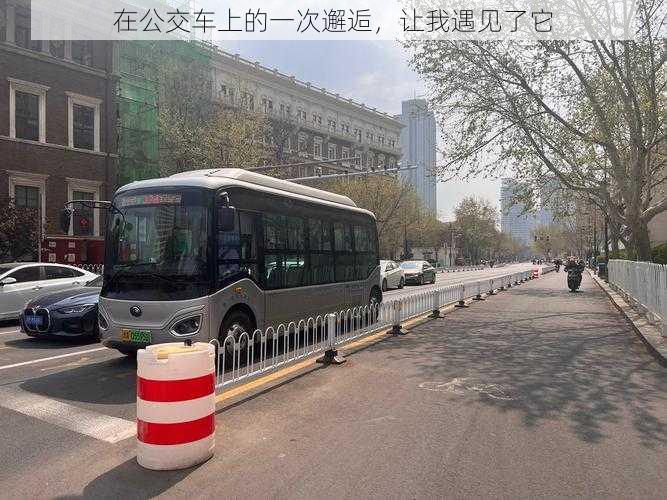 在公交车上的一次邂逅,让我遇见了它