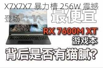 X7X7X7 暴力槽 256W 震撼登场