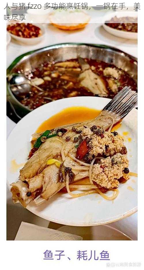 人与猪 fzzo 多功能烹饪锅,一锅在手,美味尽享